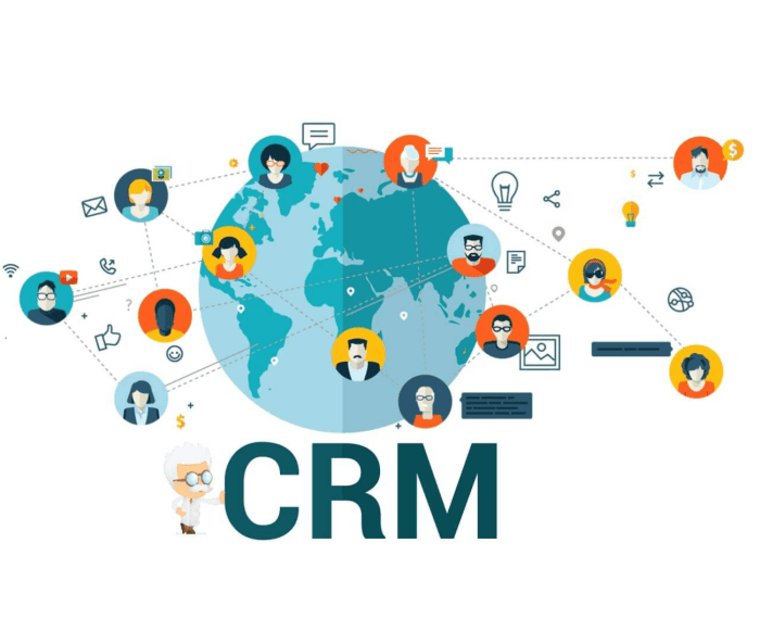 CRM customization for specific industries