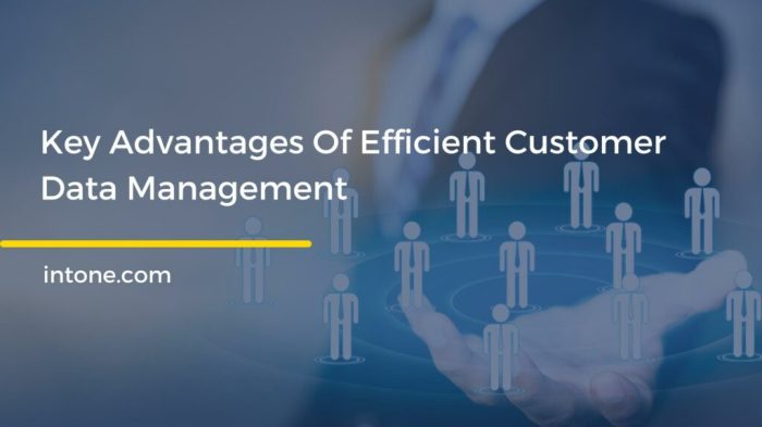 Importance of customer data management