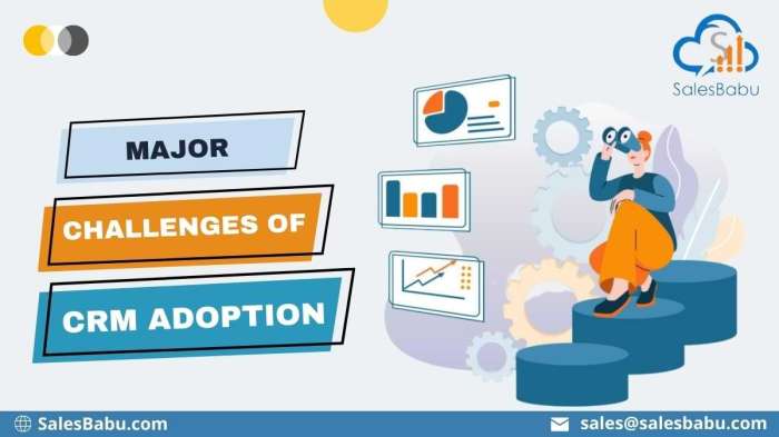 Challenges in CRM adoption