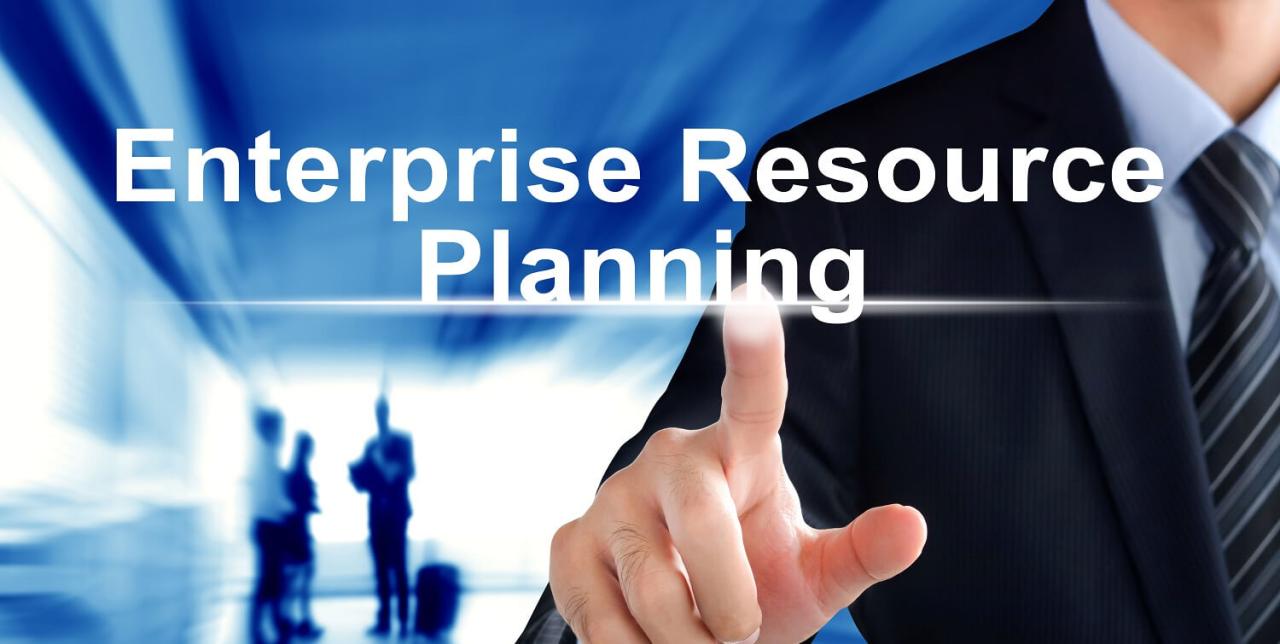 Erp online