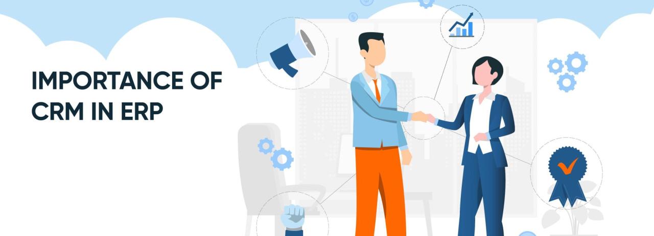 Erp crm
