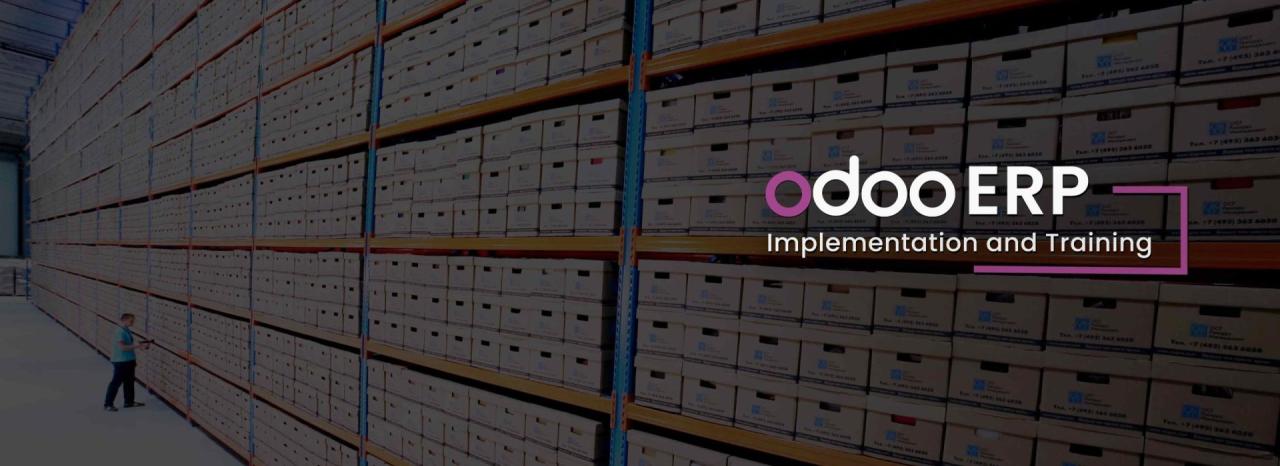 Erp odoo