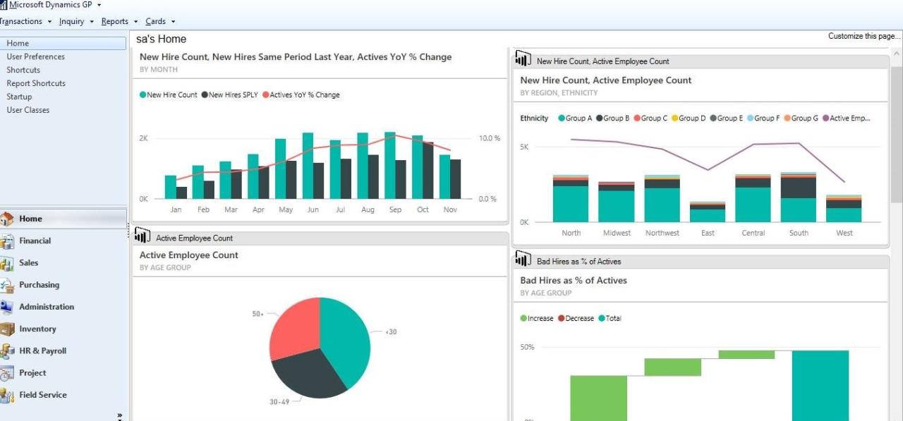 Erp microsoft navision